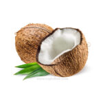 Coconut