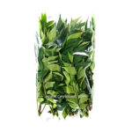 Fresh Curry Leaves