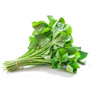 Gotukola