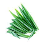 Fresh Pandan Leaves